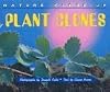 Nature Close-Up - Plant Clones