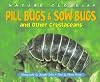 Nature Close-Up - Pill Bugs & Sow Bugs and Other Custaceans