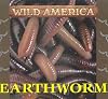 Earthworm (Wild America)