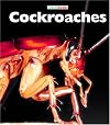Cockroaches (Naturebooks)