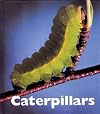 Caterpillars (Naturebooks: Creepy Crawlers)