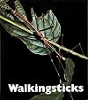 Walkingsticks (Naturebooks)