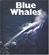 Blue Whales (Naturebooks: Underwater Life)