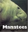 Manatees (Naturebooks: Underwater Life)