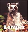 Lemurs (Naturebooks)