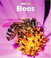 Bees