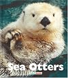Sea Otters