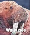 Walruses (Naturebooks)