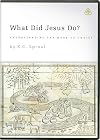 What Did Jesus Do?: Understanding the Work of Christ (Twelve 23-Minute Messages on 2 DVDs)