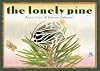 The Lonely Pine