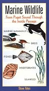 Marine Wildlife: From Puget Sound Through the Inside Passage