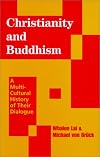 Christianity and Buddhism: A Multicultural History of Their Dialogue (Faith Meets Faith Series)