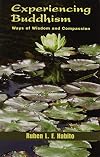 Experiencing Buddhism: Ways Of Wisdom And Compassion (Faith Meets Faith Series)