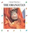 The Orangutan: Forest Acrobat (Animal Close-Ups)