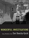 Wonderful Investigations: Essays, Meditations, Tales