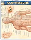 Acupressure (Quick Study Academic Outline)