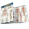 Anatomy 2