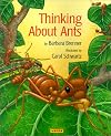 Thinking About Ants