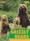 Grizzly Bears (Finding Out About)