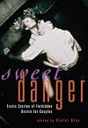 Sweet Danger: Erotic Stories of Forbidden Desire for Couples