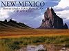 New Mexico