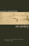 Re-entry: Poems (Vassar Miller Prize in Poetry Series)