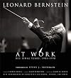 Leonard Bernstein at Work: His Final Years, 1984-1990 (Amadeus)