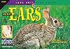 Animal Ears (Look Once, Look Again Science Series)