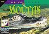 Animal Mouths (Look Once, Look Again Science Series)
