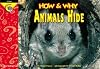 How and Why Animals Hide (How and Why Series)
