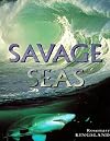Savage Seas