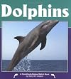 Dolphins (Nature Watch)
