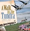 A Walk in the Tundra