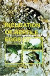 Incubation of Reptile Eggs: Basics, Guidelines, Experiences