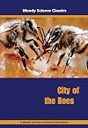 City of the Bees