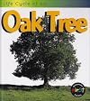 Life Cycle of an Oak Tree (Heinemann First Library: Life Cycles)