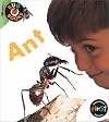 Ant (Heinemann First Library: Bug Books)