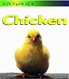 Life Cycle of a Chicken (Heinemann First Library: Life Cycles)
