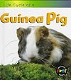Life Cycle of a Guinea Pig (Heinemann First Library: Life Cycles)