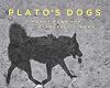 Plato's dogs