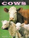Cows: A Protrait of the Animal World (Animals and Nature)