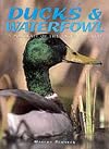 Ducks and Waterfowl (Portrait of the Animal World)