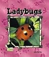 Ladybugs (Buddy Books: Animal Kingdom)