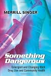 Something dangerous : emergent and changing illicit drug use and community health