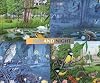 Day and Night