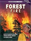 Forest Fire