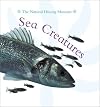 Sea Creatures (Animal Close-ups)