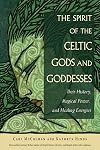 The Spirit of the Celtic Gods and Goddesses: Their History, Magical Power, and Healing Energies