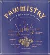 Pawmistry: How to Read Your Cat's Paws