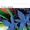 Foliage: Astonishing Color and Texture Beyond Flowers